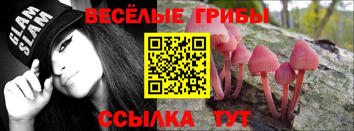 Галлюциногенные грибы прущие грибы  Вход с VPN  Дивногорск 